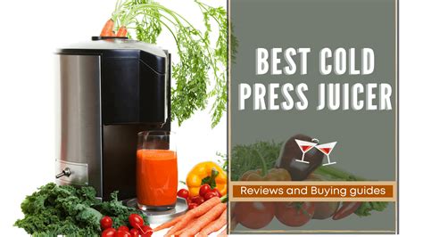 Top Best Cold Press Juicer Reviews Rattlenhumbar