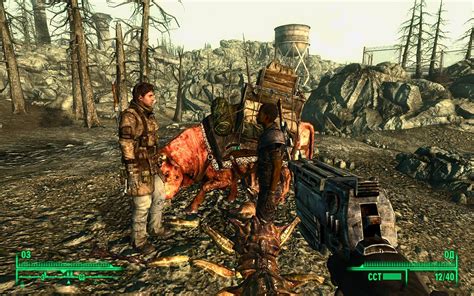 Fallout 3: Game of the Year Edition [v1.0.7.3 GOG + All DLCs] for PC [5