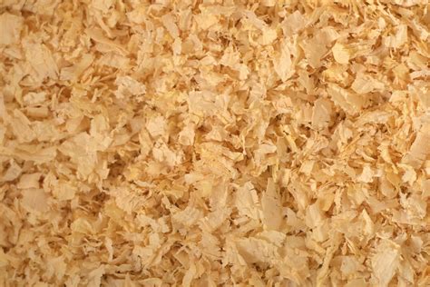 Pine Shavings Supplying Australia With All Your Chicken Supply Needs