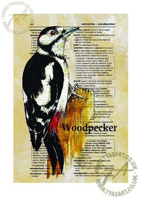 Woodpecker Greetings Card Great Spotted Woodpecker Birthday Card Thank You Card Special