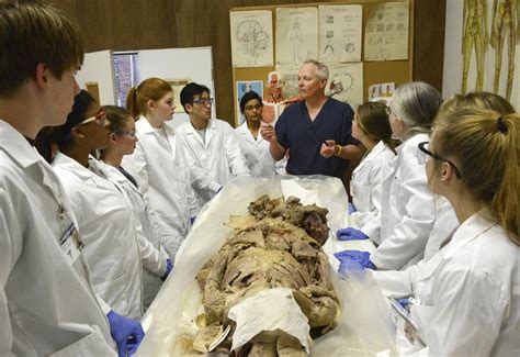 Hands On Cadaver Lab Experience Benefits Students Health