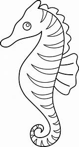 Seahorse Coloring Clip Line Colorable Sweetclipart sketch template