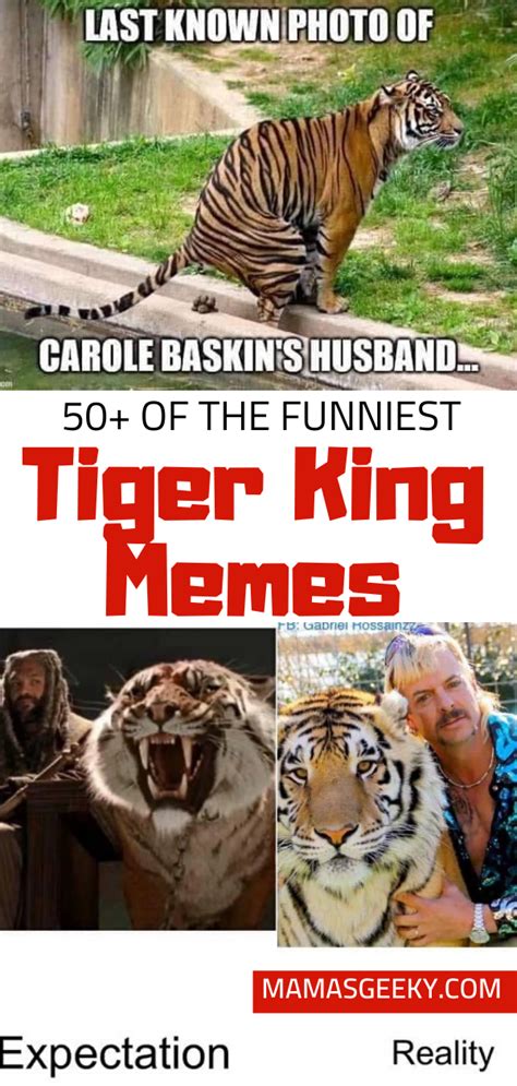 A Collection Of The Very Best Netflix S Tiger King Memes