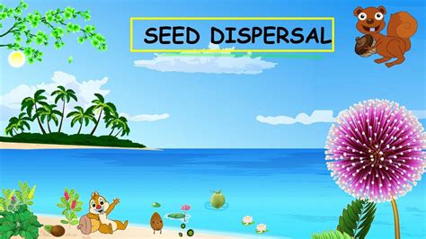 Cbse Class 5 Science Ways Of Seed Dispersal With Plant Names Youtube
