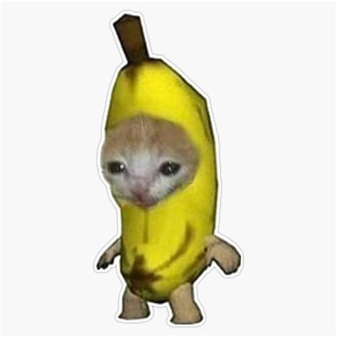 Banana Cat Blank Template Imgflip