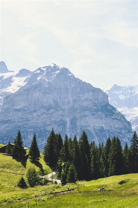 Summer Alpine Landscape Captured On Vertical Photography Taken In