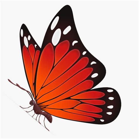 Beautiful Butterfly Cartoon 3d Max