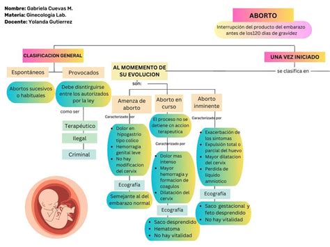 Aborto Y Clasificación Mapa Conceptual Gabriela Cuevas Morales Udocz