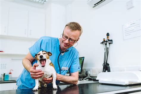 Small Animal Vets Pride And Scarsdale Vets Recruitment