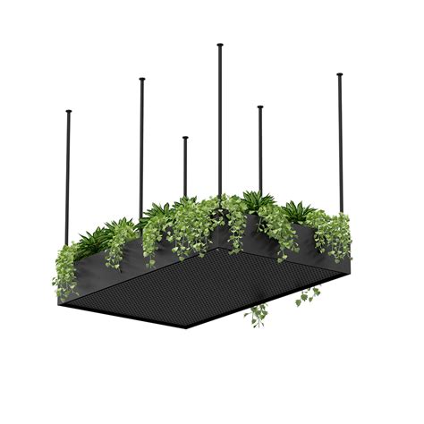 Ceiling Hanging Planter Fdb Commercial Interiors