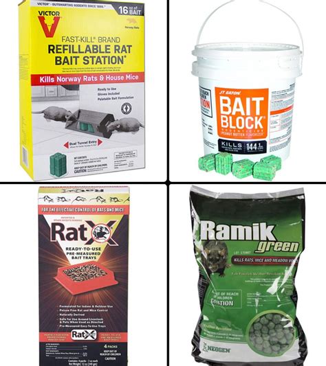 11 Best Rat Poisons For Pest Control At Home In 2022