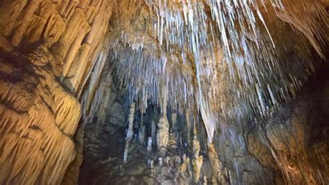 Hastings Caves State Reserve Top Tips Before You Go Updated 2017