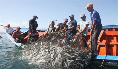Estados Devastación Y Corrupción En La Pesca Ribereña De Baja California