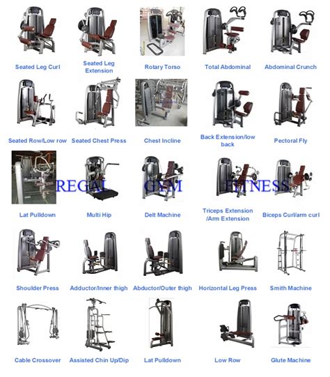 Workout Machines Names For Arms Blog Dandk