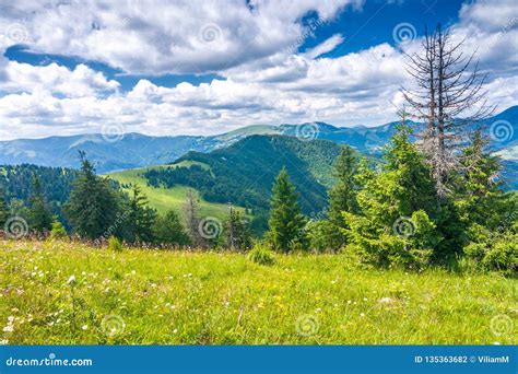 Spring Landscape With Grassy Meadows And Mountains Stock Photo Image