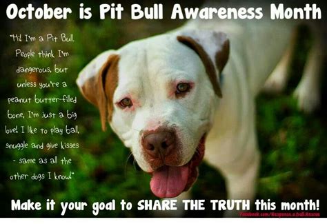 I Sure Do Love Me Some Pit Bulls ♥ Pitbulls Pitbull Awareness Month
