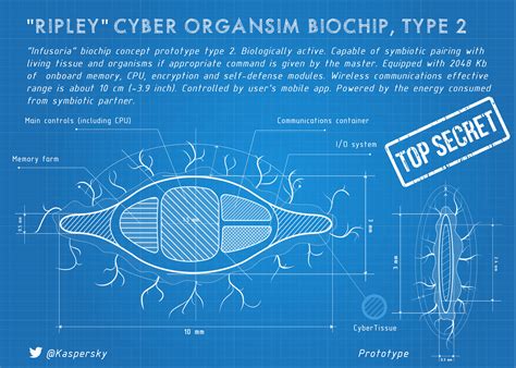 Bionicmandiary Część 2 — Czip Zaczyna Wędrować W Nocy Oficjalny Blog