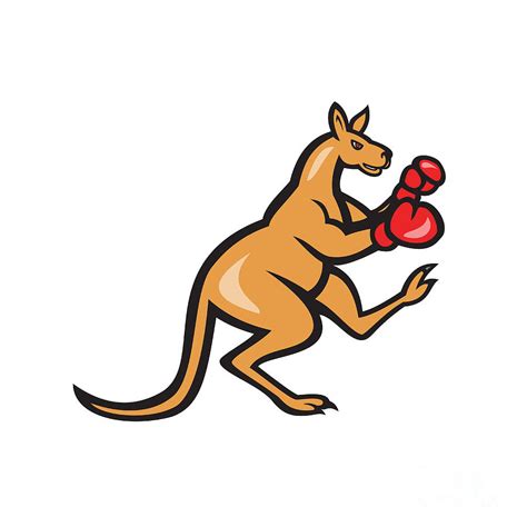 Kangaroo Kick Boxer Boxing Cartoon Digital Art By Aloysius Patrimonio