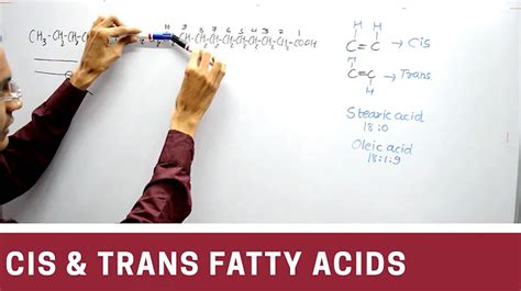 Solved Why Unsaturated Fats Are Usually Cis 9to5science