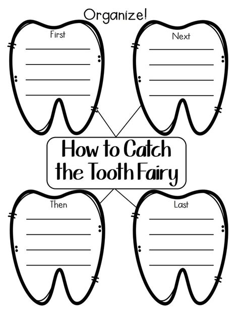 Tooth Shaped Diagram With The Words How To Catch The Tooth Fairy And