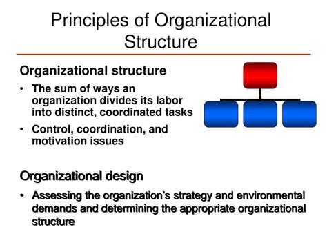 common organizational structures principles of management hot sex picture