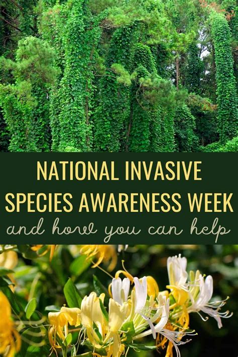 What Is National Invasive Species Awareness Week