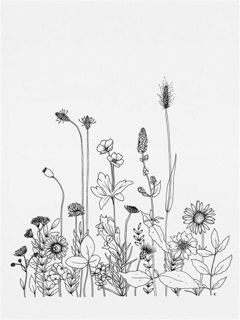 Wildflowers Art Print By Wildbloom Art Wildflower Drawing Line Art