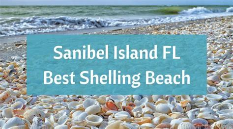 Sanibel Island Fl The Worlds Best Shelling Beaches Beach Bliss Living