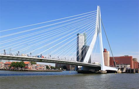 Erasmus Bridge The Swan In Dutch City Of Rotterdam Editorial Stock