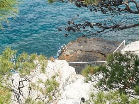 Fkk Beach Waters Cold In May Picture Of Island Of Lokrum Dubrovnik