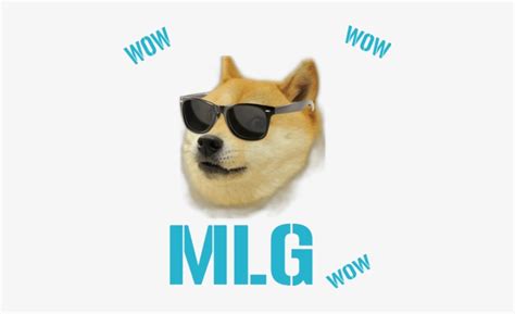 Poduszka Mlg Doge Dog With Sunglasses Png Png Image Transparent