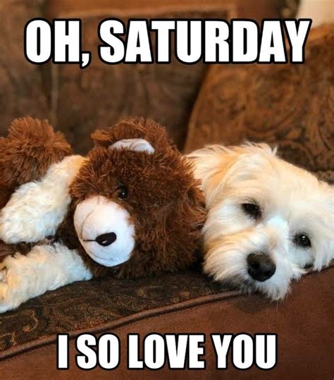 Happy Weekend Images Happy Saturday Happy Friday Funny Saturday