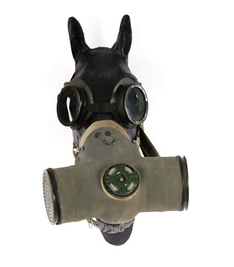 Horse Gas Mask Wwi Model Of Horse Head Wearing Gas Mask
