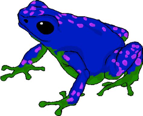 Poison Dart Frog Cartoon Clipart Full Size Clipart 5360235