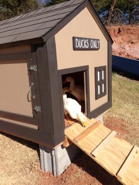 37 Free Diy Duck House Coop Plans And Ideas That You Can Easily Build
