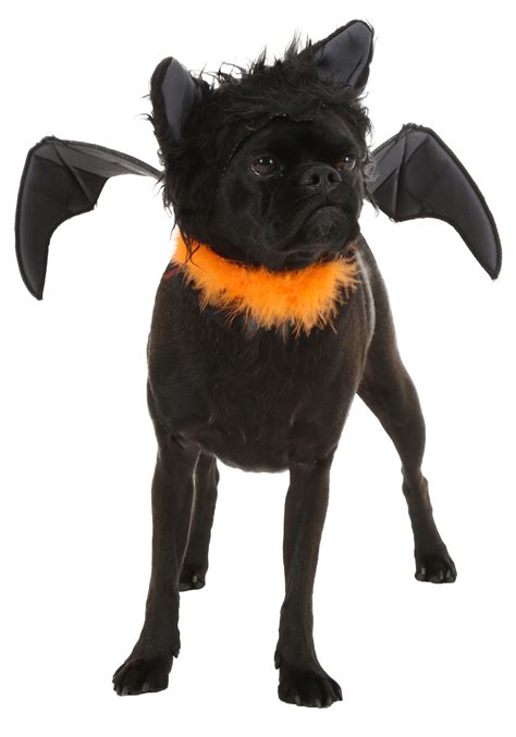Ghost and fang are two examples of famous dogs whose names both fit into the halloween red colored dog names include cinnamon, pumpkin, and spice. Pet Bat Costume