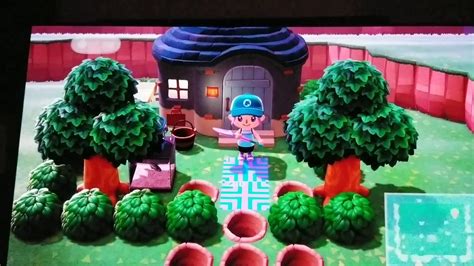 You can classify anyone who has visited your space before as a best friend on the bestfriend app in the nookphone. Madeline plays Animal Crossing New Horizons - friends ...