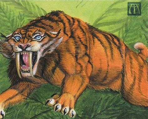 Sabretooth Tiger Magic The Gathering Mtg Cards
