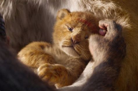 Disneys The Lion King Releases Incredibly Realistic Posters Of