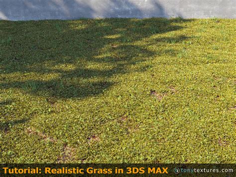 Tutorial How To Make And Render Super Realistic 3d Grass With 3ds Max