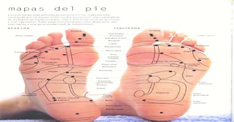 11 Mapas Del Pie Reflexologia Y Digitopunturapdf Pdf Document