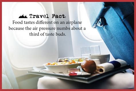 Travel Fact Food Tastes Different On An Airplane Because The Air