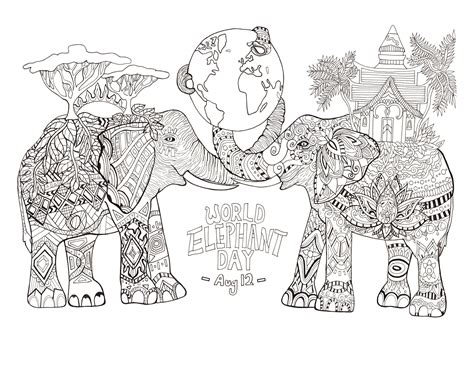 Elephant Adult Coloring Pages