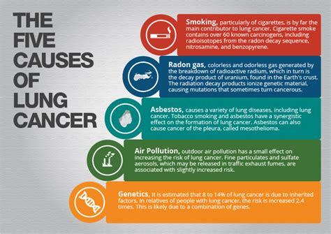 Cancer cachexia, a syndrome including unintentional weight loss and muscle wasting, is very common in the later stages of cancer. Lung Cancer Causes | Visual.ly