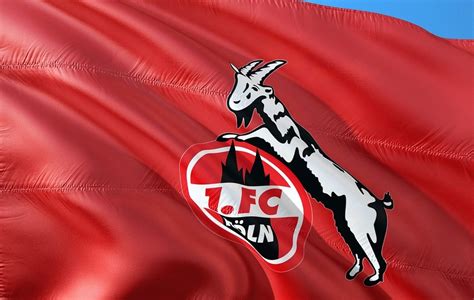 Fc köln ist der bekannteste und erfolgreichste sportclub der domstadt am rhein. Aufstieg — Der 1. FC Köln setzt auf neue Sponsoren ...