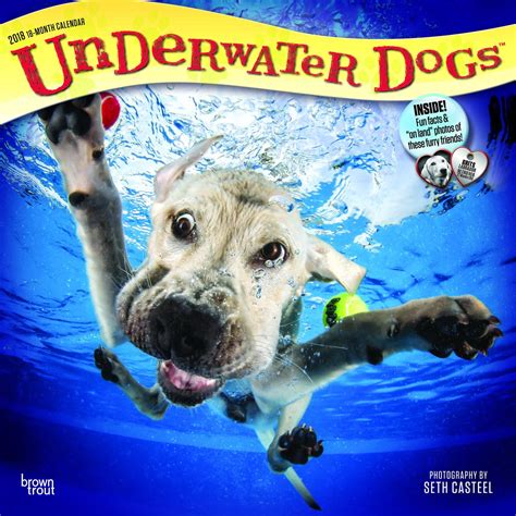 Underwater Dogs 2018 Wall Calendar