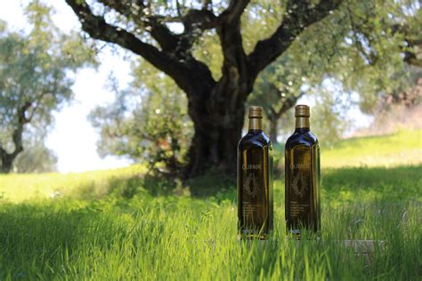 You choose the gift adoption package, you write a personalised message and you decide whether the package will be sent directly to the person you offer the adoption to or to you, so that you personally hand it to them. Adopt An Olive Tree In Greece As A Gift With Certificate ...