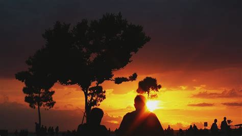 silhouettes of people in a park during a sunset free stock video