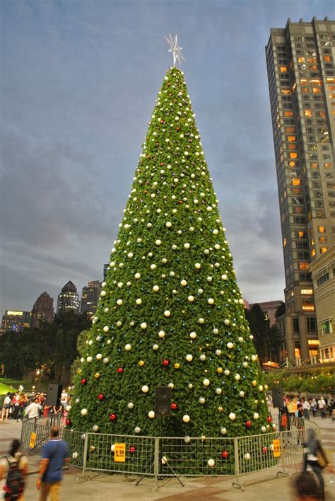 Suria Klcc Lights Up Tallest Christmas Tree