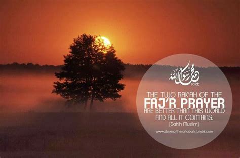Hadith | Sunnah prayers, Hadith, Prayers